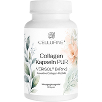 Cellufine Verisol B (rind) Collagen-Kapseln Pur