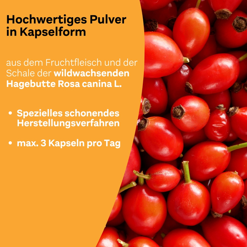 Litozin Ultra Kapseln 120 St Queisser Pharma bei onfy.de kaufen 09771006