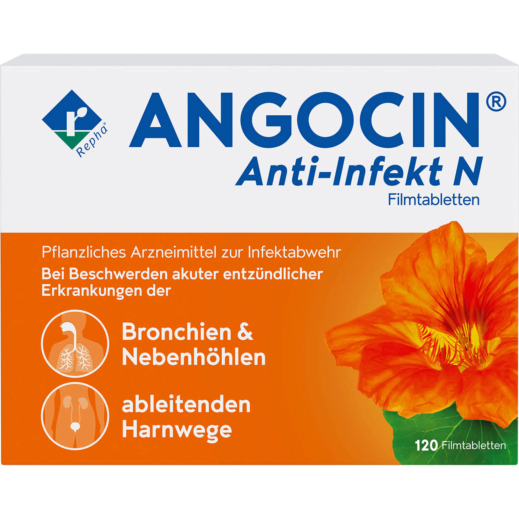 Angocin Anti-Infekt N 120 St REPHA GmbH Biologische Arzneimittel bei onfy.de kaufen 20113545