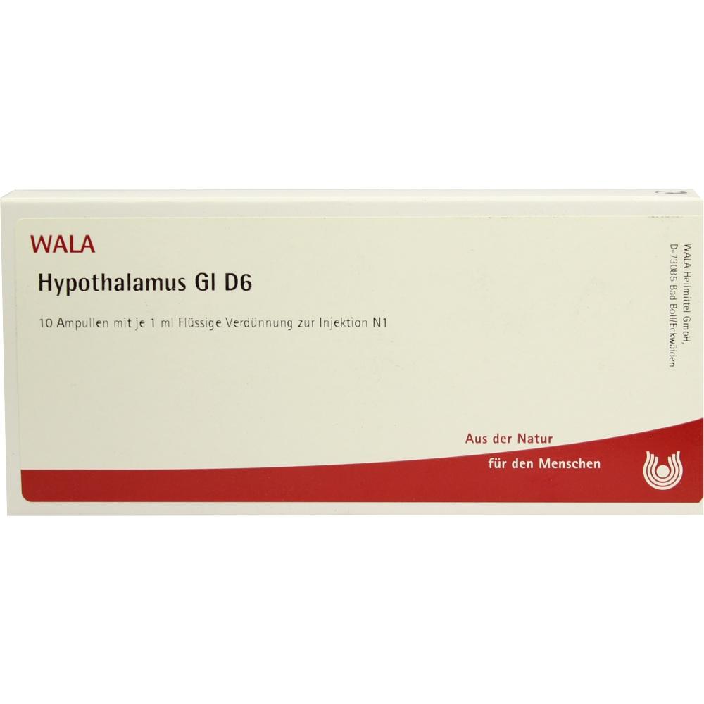 Hypothalamus Gl D 6 null