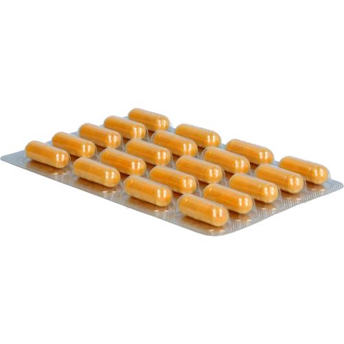 Phytoflam Dr. Wolz 60 St Dr. Wolz Zell bei onfy.de kaufen 18084664
