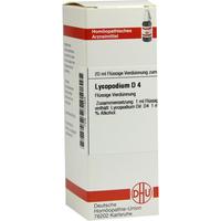 Lycopodium D 4