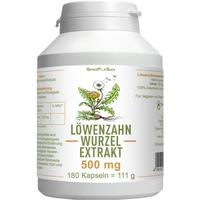 Löwenzahnwurzel-Extrakt 500 mg Mono null