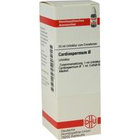 Cardiospermum Urt null