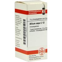 Allium Cepa C12 null