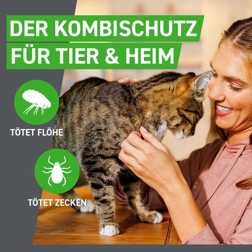 Frontline Combo Spot Katze 6 St Boehringer Ingelheim Vetmedica Gmbh bei onfy.de kaufen 17885037