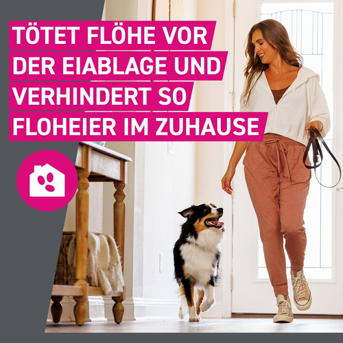 Frontline Tri-Act Hu 10-20 6 St Boehringer Ingelheim Vetmedica Gmbh bei onfy.de kaufen 16359884