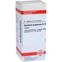 Spartium Scoparium D12 null