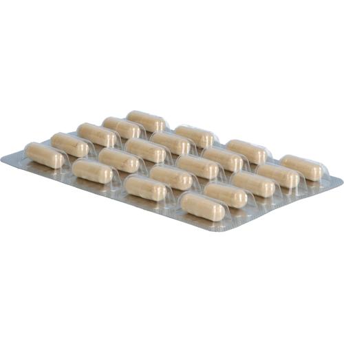 Darmflora Plus Select Complex 40 St Dr. Wolz Zell bei onfy.de kaufen 18084629