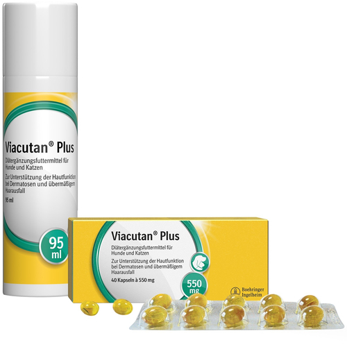 Viacutan Plus Vet 40 St Boehringer Ingelheim VETMEDICA bei onfy.de kaufen 04770261