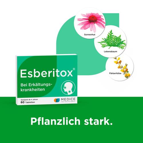 Esberitox Tabletten bei Erkältungskrankheiten  60 St MEDICE Arzneimittel Pütter bei onfy.de kaufen 13654335