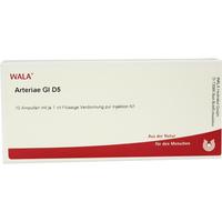 Arteriae Gl D 5 null