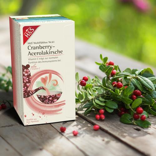H&S Cranberry-Acerolakirsche mit Vitamin C 20x2.8 g H&S Tee - Gesellschaft bei onfy.de kaufen 17454283