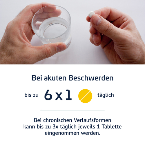 Restaxil Tabletten 2x60 St PharmaSGP bei onfy.de kaufen 08300051