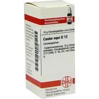 Castor Equi D12 null