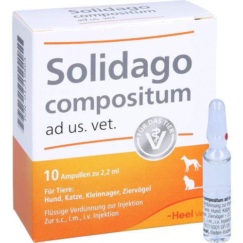 Solidago Comp Ad Us Vet 10 St Biologische Heilmittel Heel Gmbh bei onfy.de kaufen 01219864