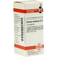 Aranea Diadema D 6 null