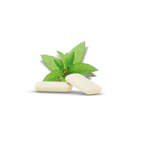 Ingwer Ginjer Kaugummi Minze 30 g Hager Pharma bei onfy.de kaufen 13974666