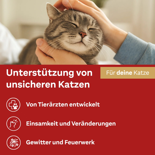 Doppelherz für Tiere Relaxspray für Katzen 90 ml Queisser Pharma bei onfy.de kaufen 18404689