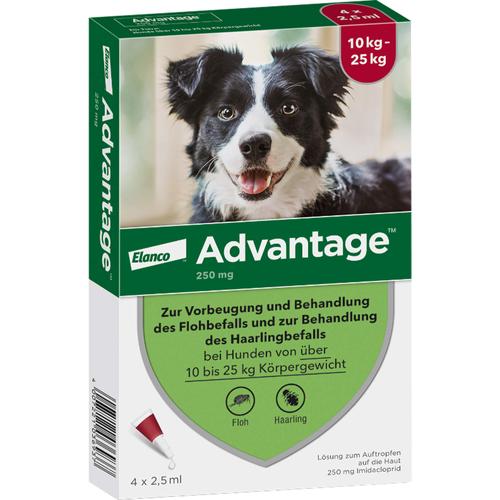 Advantage 250 Hund 4 St Elanco Deutschland Gmbh bei onfy.de kaufen 08613328