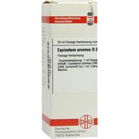 Equisetum Arv D 2 null