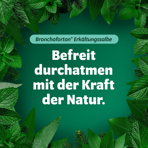 Bronchoforton Salbe 100 g STADA Consumer Health Deutschland bei onfy.de kaufen 07269952