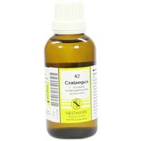 Crataegus F Komplex 42 null