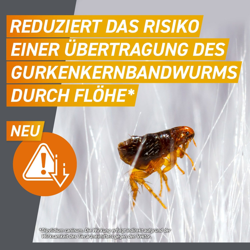 Frontpro Chew Hunde S Vet 3 St Boehringer Ingelheim Vetmedica Gmbh bei onfy.de kaufen 18654280