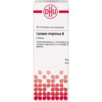 Lycopus Virg Urt null