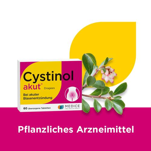 Cystinol akut bei akuter unkomplizierter Blasenentzündung & Harnwegsinfektionen 60 St MEDICE Arzneimittel Pütter bei onfy.de kaufen 07114824