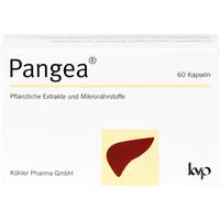 Pangea null