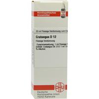 Crataegus D12 null