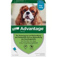 Advantage 100 Hund null