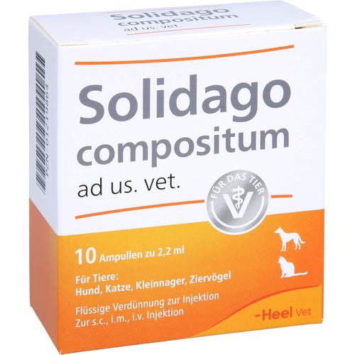 Solidago Comp Ad Us Vet 10 St Biologische Heilmittel Heel Gmbh bei onfy.de kaufen 01219864