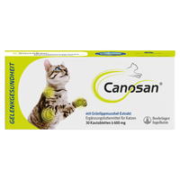 Canosan Katze Vet null