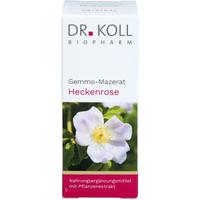 Gemmo-Mazerat Heckenrose Dr. Koll Rosa Canina null