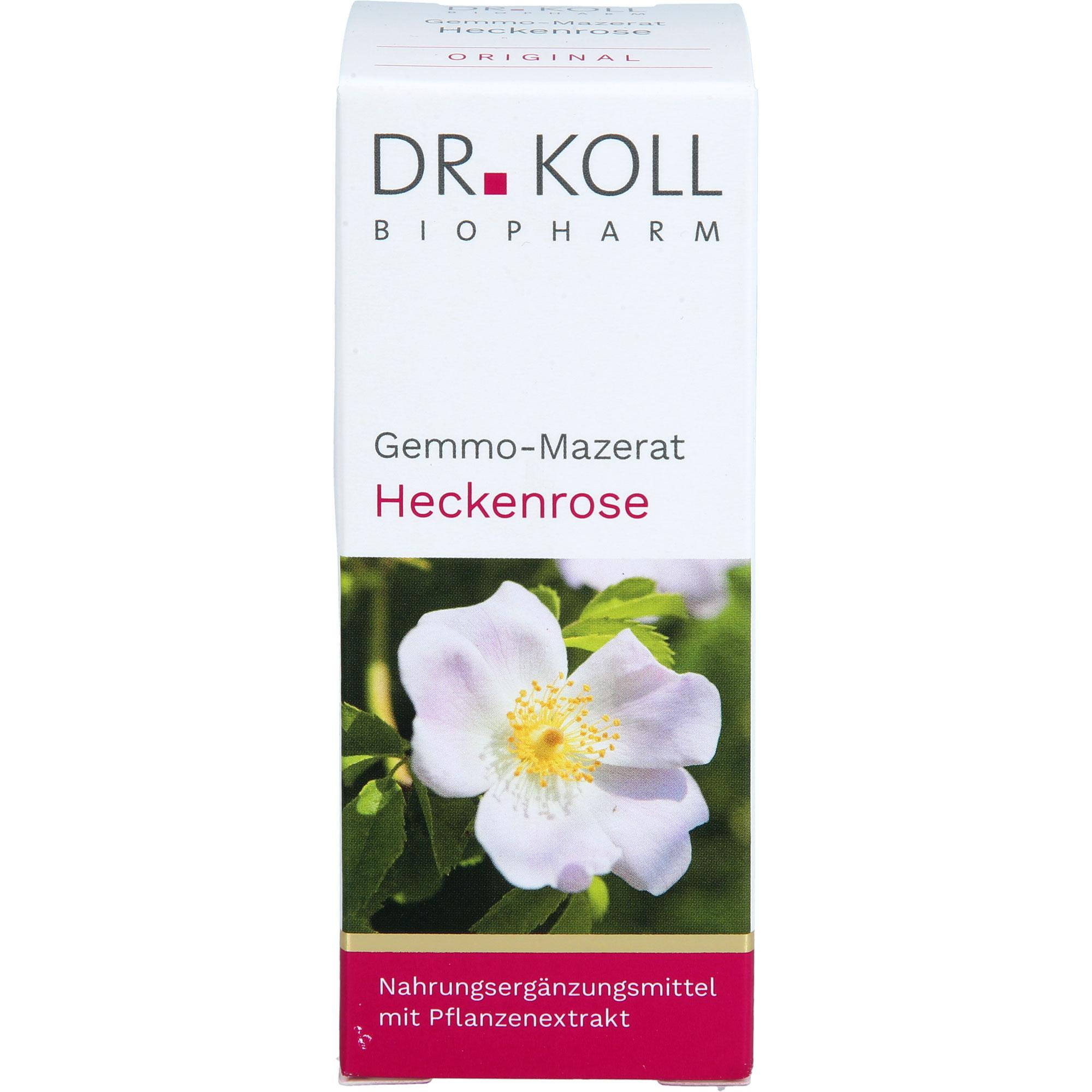 Gemmo-Mazerat Heckenrose Dr. Koll Rosa Canina null