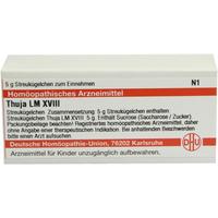 Thuja Lm Xviii