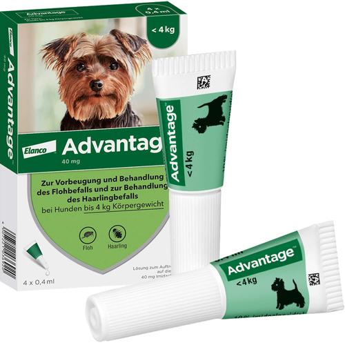 Advantage 40 Hund 4 St Elanco Deutschland Gmbh bei onfy.de kaufen 08613305