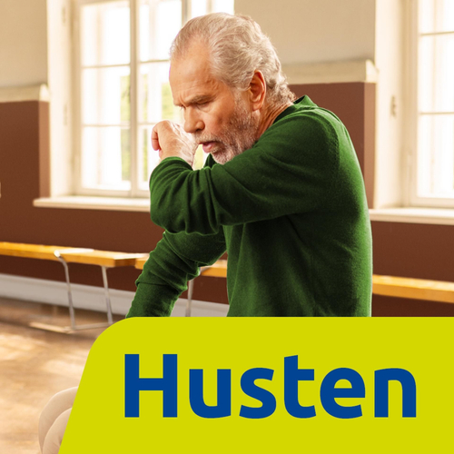 Prospan Husten-Brausetabletten 20 St Engelhard Arzneimittel bei onfy.de kaufen 04345575