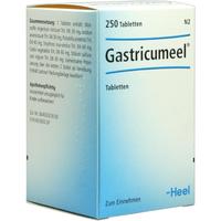 Gastricumeel null