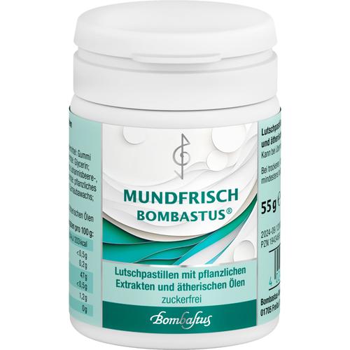 Mundfrisch Bombastus Pastillen Zuckerfrei 55 g Bombastus-Werke bei onfy.de kaufen 19434669