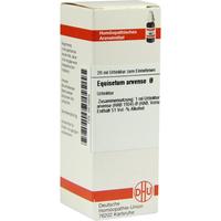 Equisetum Arv Urt null
