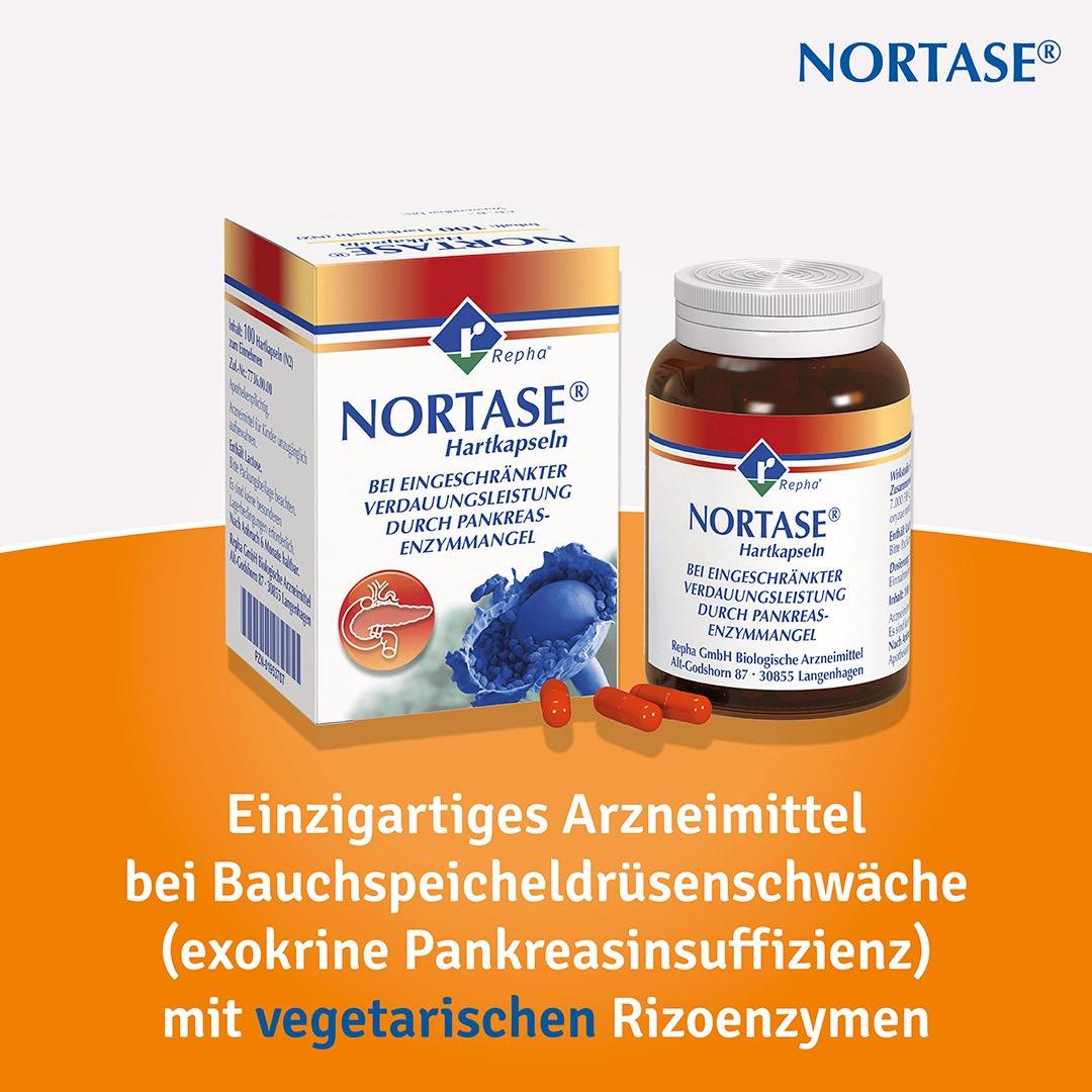 Nortase 100 St REPHA GmbH Biologische Arzneimittel bei onfy.de kaufen 01953707