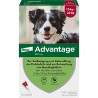 Advantage 250 Hund null