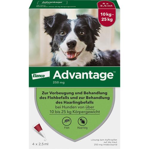 Advantage 250 Hund 4 St Elanco Deutschland Gmbh bei onfy.de kaufen 08613328