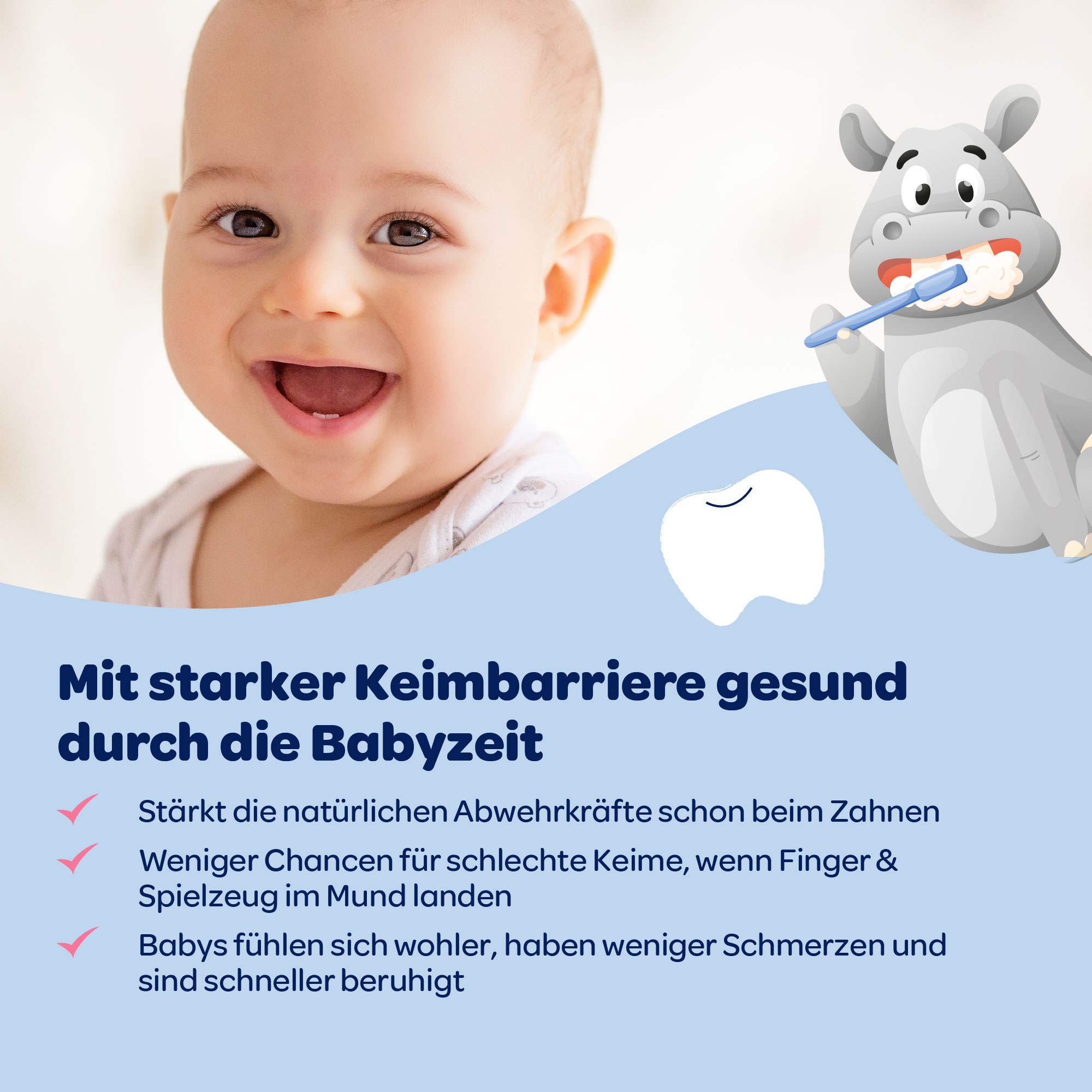 Dentinox Zahncreme Mundflora Baby 30 ml Dentinox Gesellschaft für pharmazeutische Präparate bei onfy.de kaufen 19401368