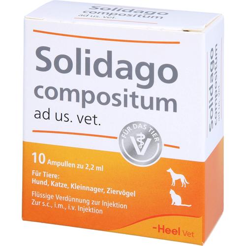Solidago Comp Ad Us Vet 10 St Biologische Heilmittel Heel Gmbh bei onfy.de kaufen 01219864