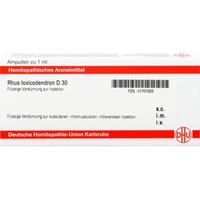 Rhus Toxicodendron D30 Ampullen null