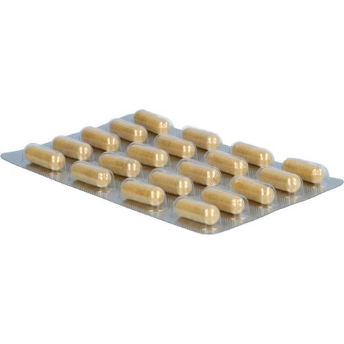 Cardio Protect Q10 40 St Dr. Wolz Zell bei onfy.de kaufen 18084670
